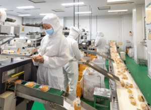 饼干喷胶装盒机实战案例：产线从8人减至2人，一个月完成自动化升级